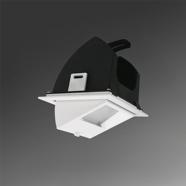 DL-301Q(C18)產品圖