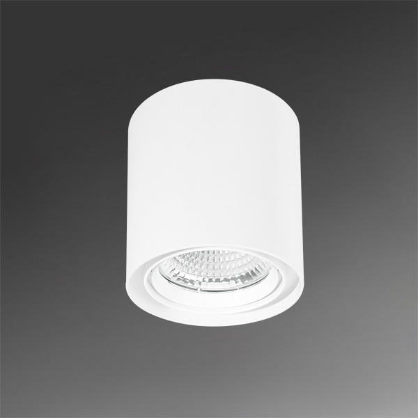 Surface-mounted Ceiling Lights